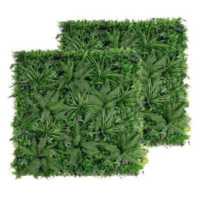 Cinq types de feuilles Morning Glory Flower Panel