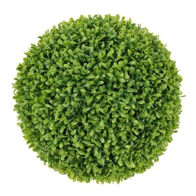 Mur d'herbe de buis topiaire suspendu