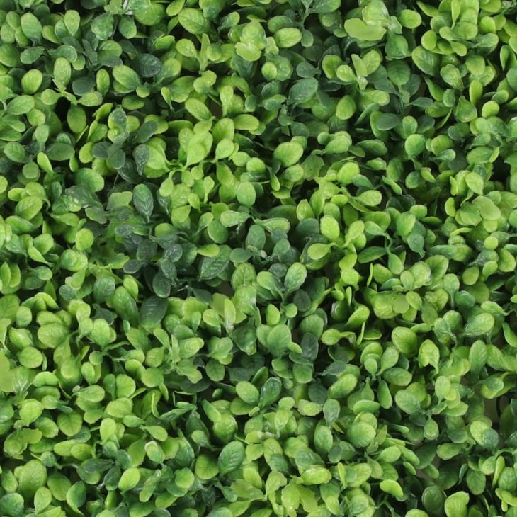 Green Artificial Boxwood Panels Outdoor For Garden Home Decoration
