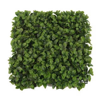 Clôture d'arbustes de mur vert de jardin vertical de mur de plante artificielle extérieure